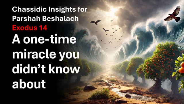 Chassidic Insights Parshah Beshalach - Exodus 14 - A one-time miracle that you might not know about
