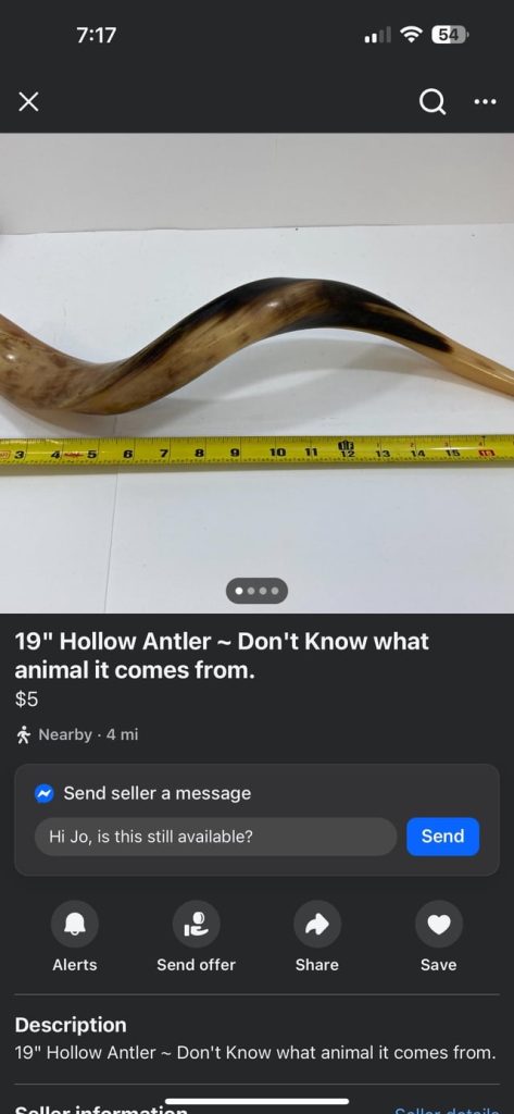 Bought this “19” Hollow Antler” on Marketplace