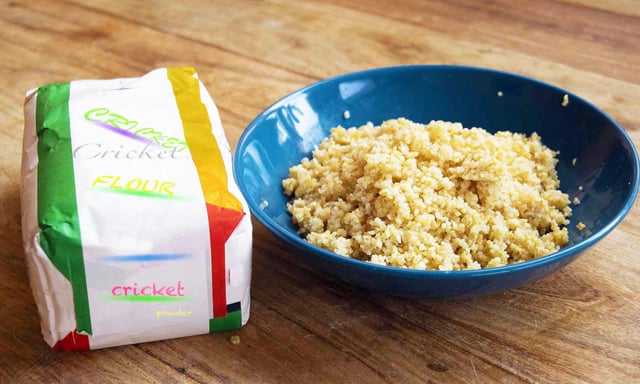 Kashrut concern- adding more insects to processed food