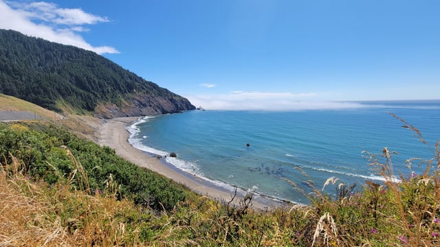 Shabbat Shalom from the Pacific NW.