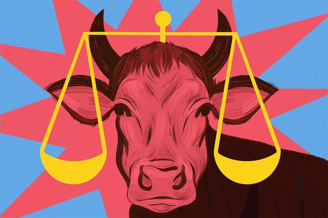 The Beef Over Kosher Beef | The Walrus