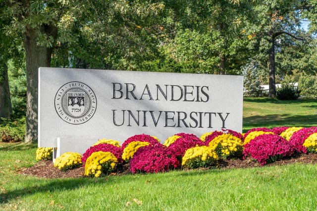 ‘If Yiddish isn’t safe at Brandeis, where is it safe?’