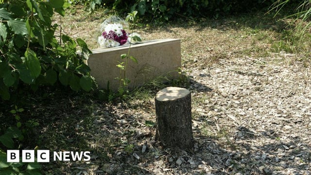 Macron condemns 'act of hatred' after tree memorial for murdered Jew is cut down