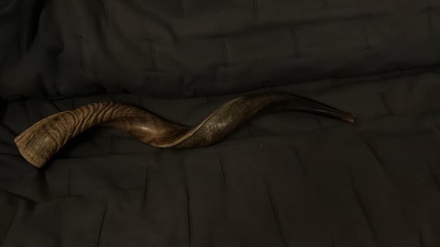 I learned how to blow a shofar
