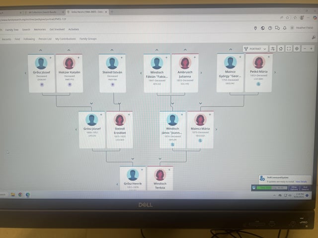 Does this family tree match anyone?